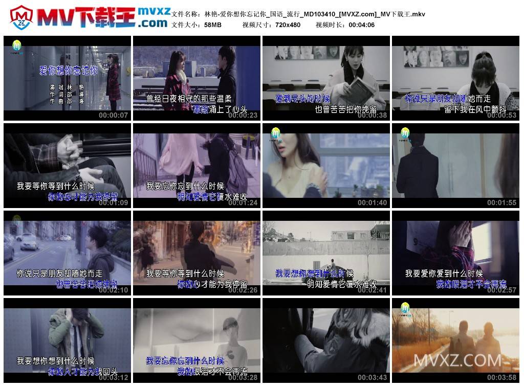 林艳-爱你想你忘记你_国语_流行_MD103410